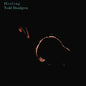 Todd Rundgren: Healing - VINYL
