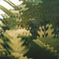 Mandy, Indiana: ... Ep - VINYL