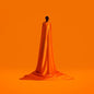 Wayne Snow: Figurine - VINYL