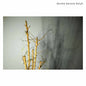 Dorota Barova: Dotyk - CD