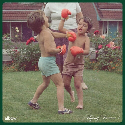 Elbow - Flying Dream 1 - VINYL