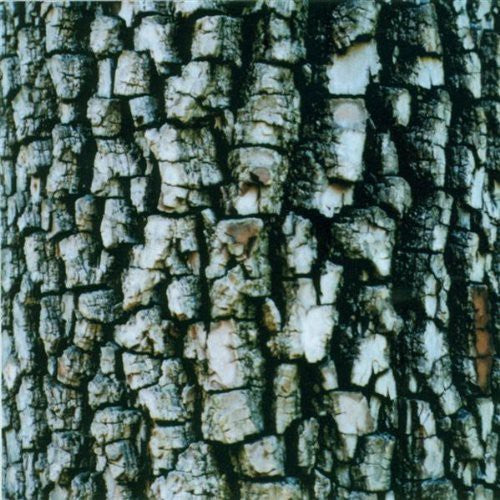 Ativin: Interiors - CD