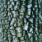 Ativin: Interiors - CD