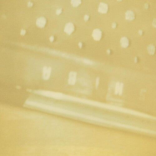 Steve Roden: Radio Airria (Hanging Garden) / Vein Stem Is Calm - CD