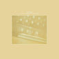 Steve Roden: Radio Airria (Hanging Garden) / Vein Stem Is Calm - VINYL
