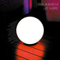 Oren Ambarchi: Live Hubris - VINYL