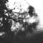 Sadness: Alluring The Distant Eye - CD