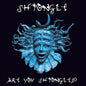 Shpongle: Are You Shpongled? - VINYL