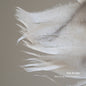 Rob Burger: Marching With Feathers - VINYL