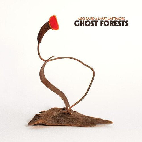Meg Baird: Ghost Forests - VINYL