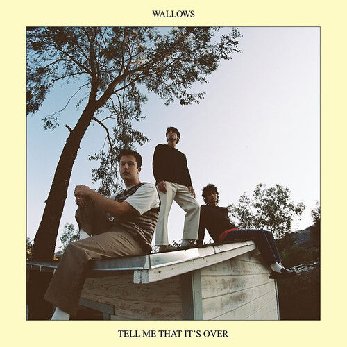 Wallows - Tell Me That It's Over - VINYL
