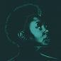 Ledisi: Ledisi Sings Nina - VINYL