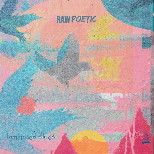 Raw Poetic / Damu the Fudgemunk: Laminated Skies - VINYL
