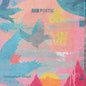 Raw Poetic / Damu the Fudgemunk: Laminated Skies - VINYL
