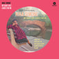 Nina Simone: My Baby Just Cares For Me [180-Gram Picture Disc] - VINYL