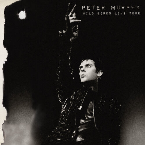 Peter Murphy - Wild Birds Live Tour - VINYL