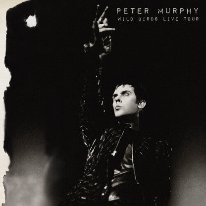Peter Murphy - Wild Birds Live Tour - VINYL