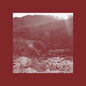 Ian Wellman: On Darkest Day You Took My Hand & Swore It Okay - CD