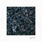 Glass Museum: Reflet - VINYL