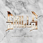 Skills: Different Worlds - CD
