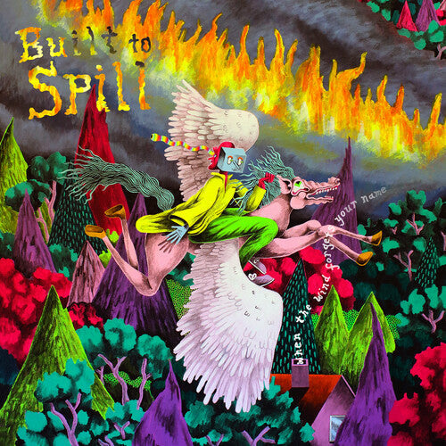Built to Spill - When the Wind Forgets Your Name - VINYL
