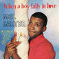 Mel Carter - When A Boy Falls In Love - VINYL