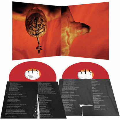 Steve Walsh - Glossolalia - VINYL