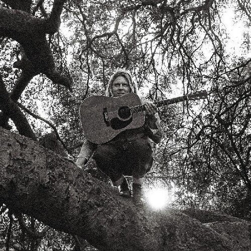 Ty Segall: Hello Hi - VINYL