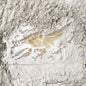 Jonathan Kawchuk: Everywhen - VINYL