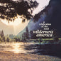 Various Artists: Wilderness America, A Celebration Of The Land / Various - VINYL