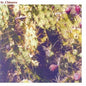 Sr Chinarro: Sr Chinarro (Debut) - VINYL