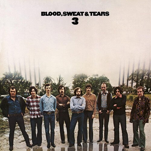 Blood, Sweat & Tears - 3 - VINYL