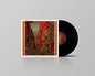 Kennebec: Without Star Or Compass - VINYL