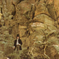 Dave Mason - Alone Together - VINYL