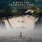 Where The Crawdads Sing - Original Soundtrack - VINYL