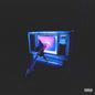 Willow: COPINGMECHANISM - CD