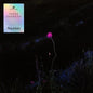 Satin Jackets: Reunion - VINYL
