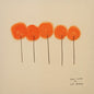 L.S. Dunes: Past Lives - CD