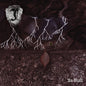 Jordfast: Av Stoft - CD