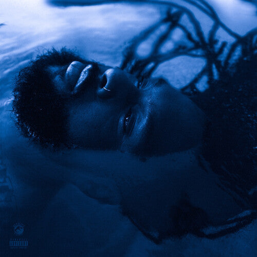 Rexx Life Raj - The Blue Hour - VINYL