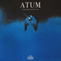 Smashing Pumpkins - Atum - VINYL