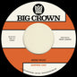 Surprise Chef: Money Music B/w Suburban Breeze - 7-INCH SINGLE