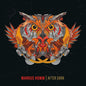 Markus Homm: After Dark - VINYL