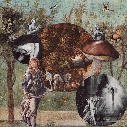 Native Harrow: Old Kind Of Magic - CD