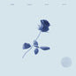 Y Bulbul / Yumurta: Not One, Not Two - VINYL