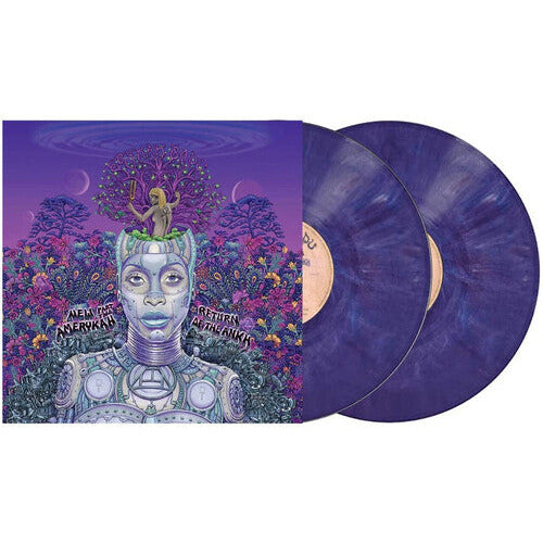 Erykah Badu - New Amerykah Part Two - VINYL