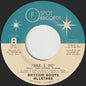 Rhythm Roots Allstars: Say I Do b/w Island Hustle - 7-INCH SINGLE