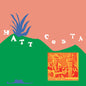 Matt Costa: Donde Los Terremotos: Songs from and Inspired by the Film - VINYL