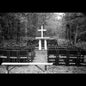 Janis Crunch: 12 & 1 Song - VINYL