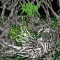 Worm: Gloomlord - Splatter - VINYL